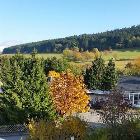Fewos 4-Jahreszeiten Willingen  Extérieur photo