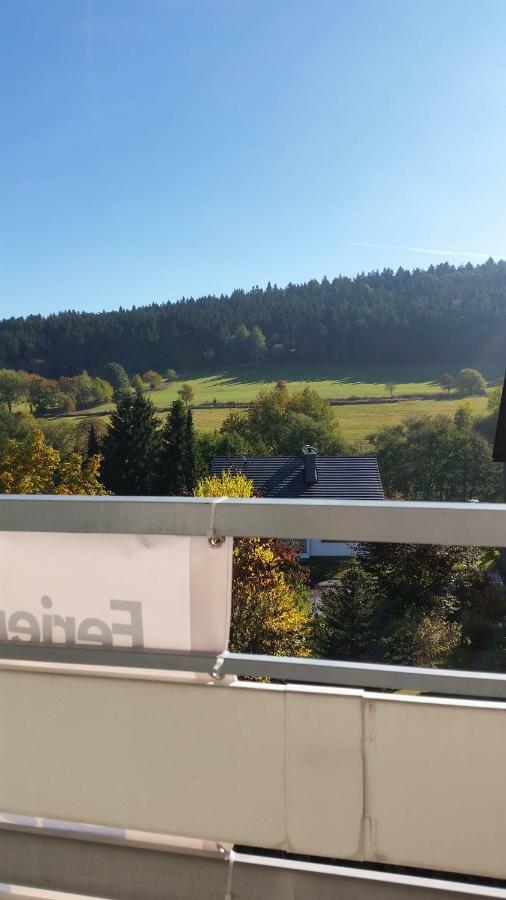 Fewos 4-Jahreszeiten Willingen  Extérieur photo