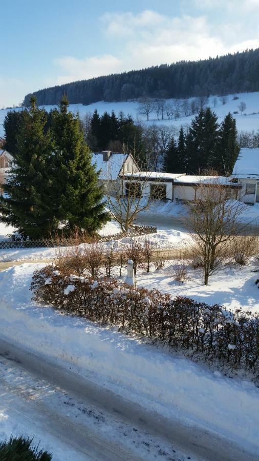 Fewos 4-Jahreszeiten Willingen  Extérieur photo