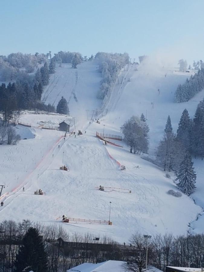 Fewos 4-Jahreszeiten Willingen  Extérieur photo