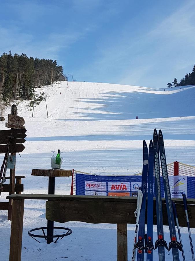 Fewos 4-Jahreszeiten Willingen  Extérieur photo