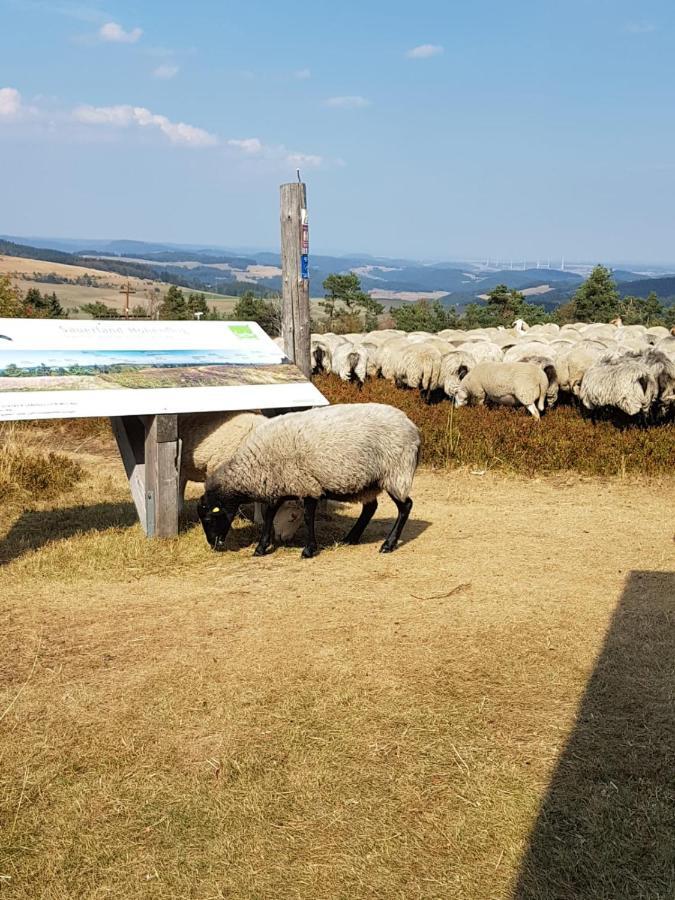 Fewos 4-Jahreszeiten Willingen  Extérieur photo